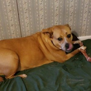 Meet your Posher, Jami